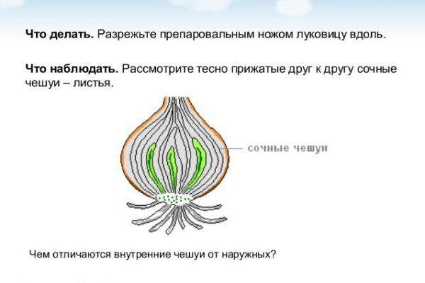 Кракен современный маркетплейс