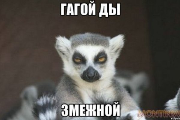 Кракен актуальная ссылка тор
