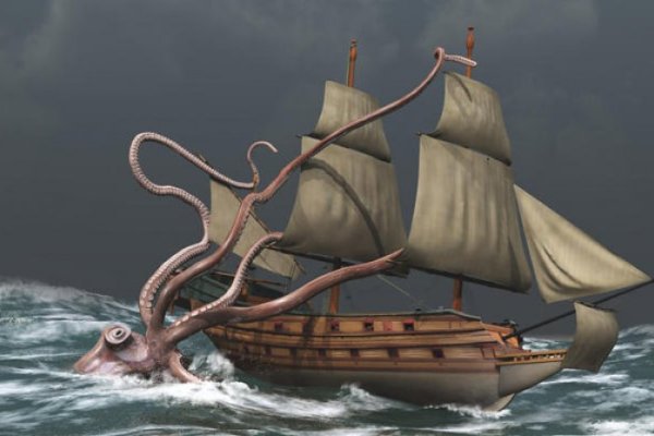 Kraken onion link